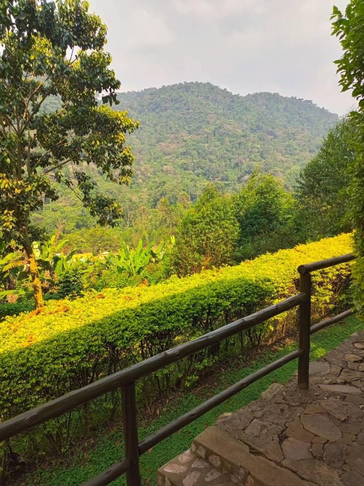 Bwindi Forest Lodge Buhoma Kültér fotó